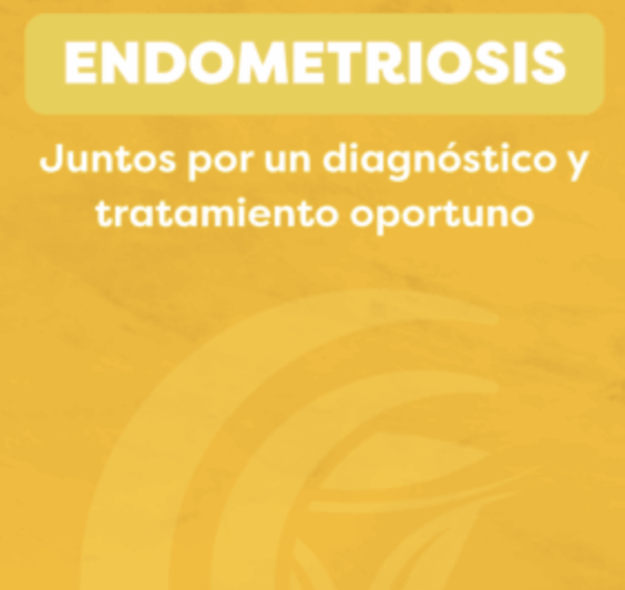 Comprendiendo la Endometriosis